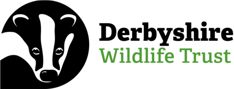 Derbyshire Wildlife Trust